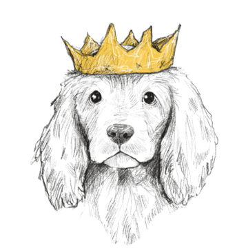 A hand-drawn dog wearing a golden crown