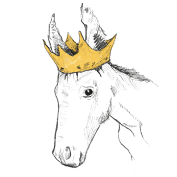 A hand-drawn horse wearing a golden crown